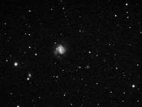 m61 3-19-04-064